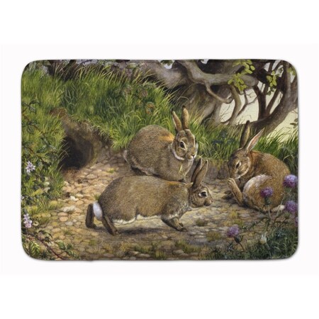 Jensendistributionservices Rabbits & the Rabbit Hole Machine Washable Memory Foam Mat MI2550598